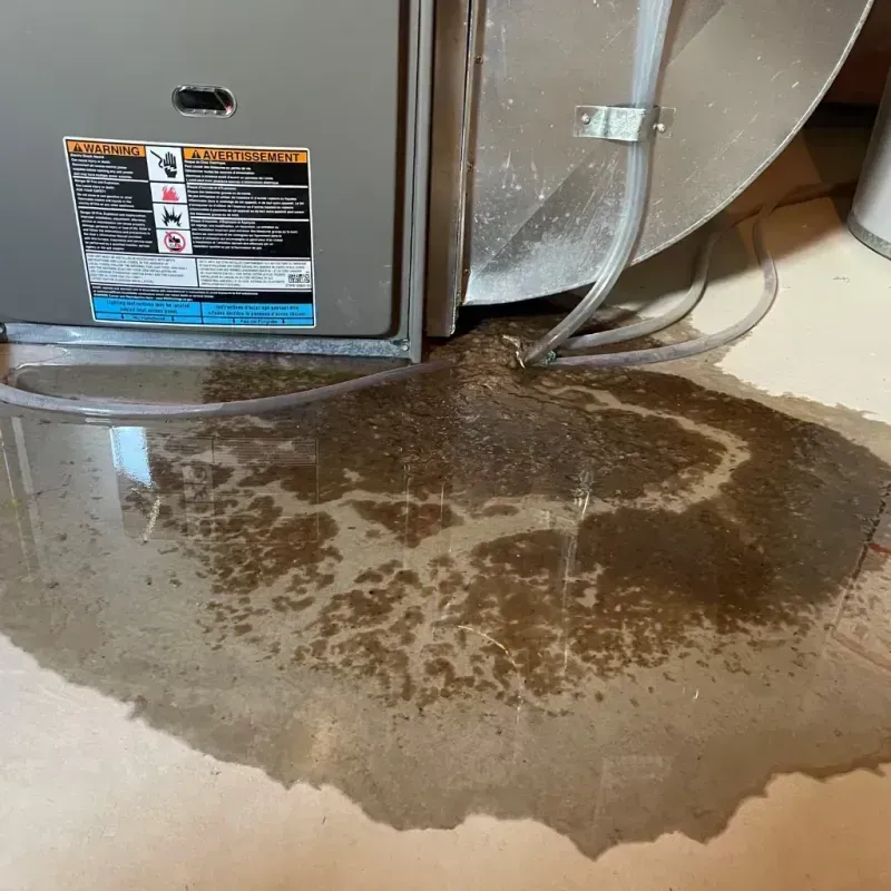 Appliance Leak Cleanup in Midland County, TX